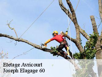 Etetage  avricourt-60310 Joseph Elagage 60