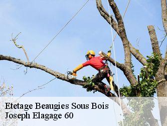 Etetage  beaugies-sous-bois-60640 Joseph Elagage 60