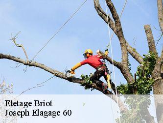 Etetage  briot-60210 Joseph Elagage 60