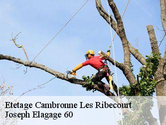 Etetage  cambronne-les-ribecourt-60170 Joseph Elagage 60
