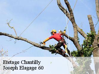 Etetage  chantilly-60500 Joseph Elagage 60