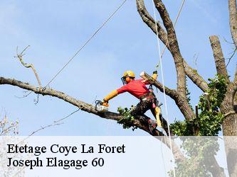Etetage  coye-la-foret-60580 Joseph Elagage 60