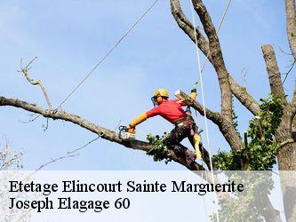 Etetage  elincourt-sainte-marguerite-60157 Joseph Elagage 60