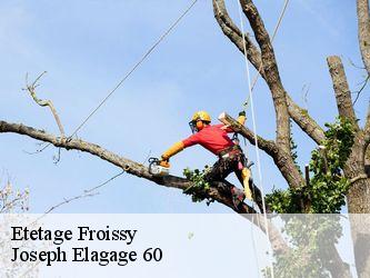 Etetage  froissy-60480 Joseph Elagage 60