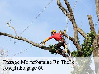 Etetage  mortefontaine-en-thelle-60570 Joseph Elagage 60