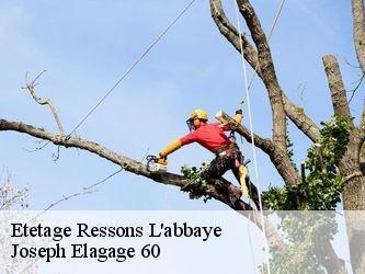 Etetage  ressons-l-abbaye-60790 Joseph Elagage 60