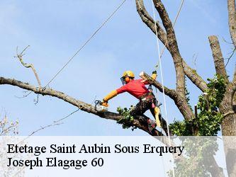 Etetage  saint-aubin-sous-erquery-60600 Joseph Elagage 60