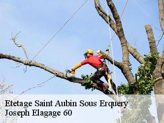 Etetage saint-aubin-sous-erquery-60600 Joseph Elagage 60