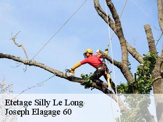 Etetage  silly-le-long-60330 Joseph Elagage 60