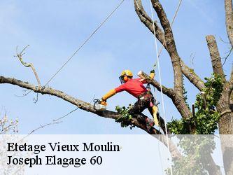 Etetage vieux-moulin-60350 Joseph Elagage 60