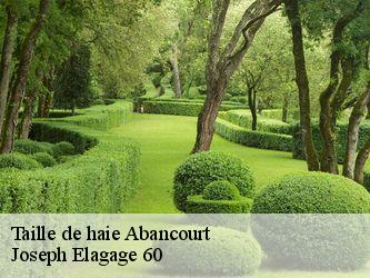 Taille de haie  abancourt-60220 Joseph Elagage 60