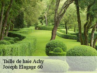 Taille de haie  achy-60690 Joseph Elagage 60