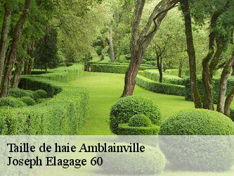 Taille de haie  amblainville-60110 Joseph Elagage 60