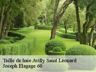 Taille de haie  avilly-saint-leonard-60300 Joseph Elagage 60