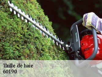 Taille de haie  60190