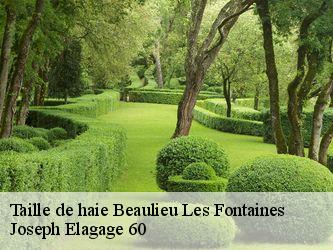 Taille de haie  beaulieu-les-fontaines-60310 Joseph Elagage 60