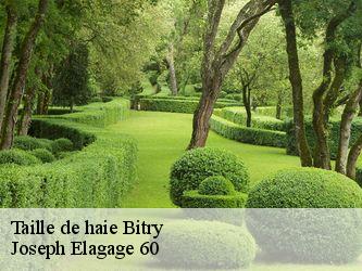 Taille de haie bitry-60350 Joseph Elagage 60