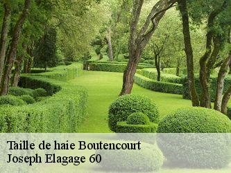 Taille de haie  boutencourt-60590 Joseph Elagage 60