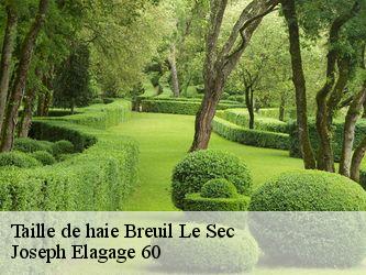 Taille de haie breuil-le-sec-60600 Joseph Elagage 60