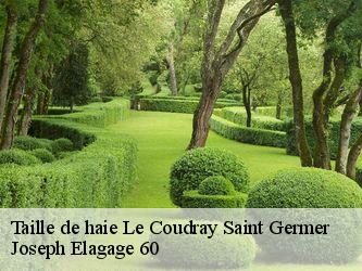 Taille de haie  le-coudray-saint-germer-60850 Joseph Elagage 60