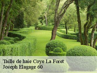 Taille de haie  coye-la-foret-60580 Joseph Elagage 60