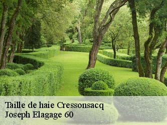 Taille de haie  cressonsacq-60190 Joseph Elagage