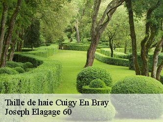 Taille de haie  cuigy-en-bray-60850 Joseph Elagage 60