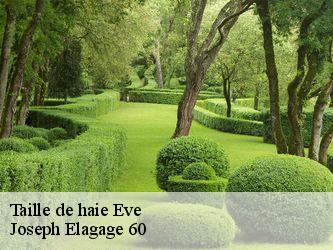 Taille de haie  eve-60330 Joseph Elagage 60