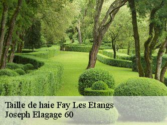 Taille de haie  fay-les-etangs-60240 Joseph Elagage 60