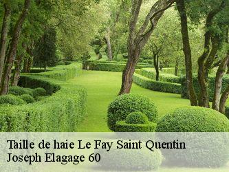 Taille de haie  le-fay-saint-quentin-60510 Joseph Elagage 60