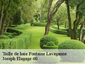 Taille de haie fontaine-lavaganne-60690 Joseph Elagage 60