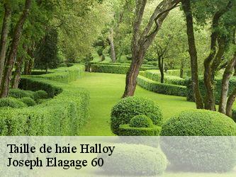 Taille de haie  halloy-60210 Joseph Elagage 60