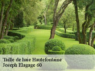 Taille de haie  hautefontaine-60350 Joseph Elagage 60