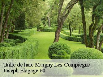 Taille de haie margny-les-compiegne-60280 Joseph Elagage 60