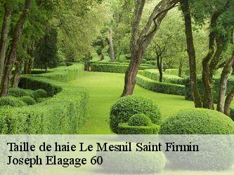 Taille de haie  le-mesnil-saint-firmin-60120 Joseph Elagage 60