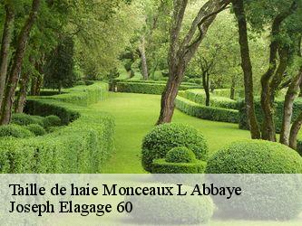 Taille de haie  monceaux-l-abbaye-60220 Joseph Elagage 60