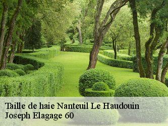 Taille de haie  nanteuil-le-haudouin-60440 Joseph Elagage 60