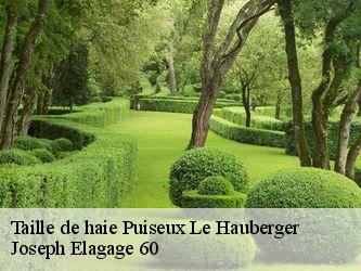 Taille de haie puiseux-le-hauberger-60540 Joseph Elagage 60