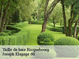 Taille de haie ricquebourg-60490 Joseph Elagage 60