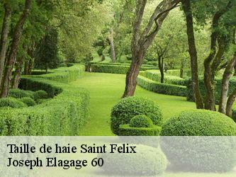 Taille de haie  saint-felix-60370 Joseph Elagage 60