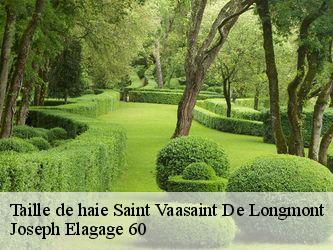Taille de haie saint-vaasaint-de-longmont-60410 Joseph Elagage 60