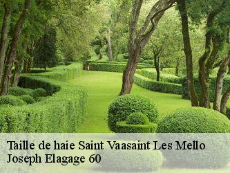 Taille de haie  saint-vaasaint-les-mello-60660 Joseph Elagage 60