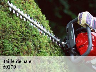 Taille de haie 60170