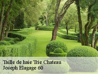 Taille de haie  trie-chateau-60590 Joseph Elagage 60