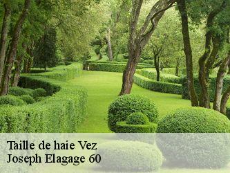 Taille de haie  vez-60117 Joseph Elagage 60