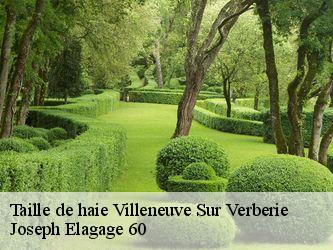 Taille de haie  villeneuve-sur-verberie-60410 Joseph Elagage 60