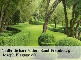 Taille de haie villers-saint-frambourg-60810 Joseph Elagage 60