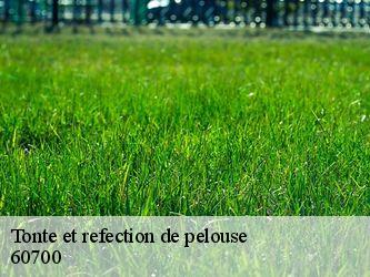 Tonte et refection de pelouse  60700