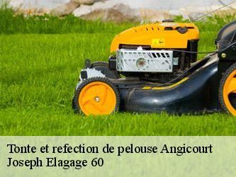 Tonte et refection de pelouse  angicourt-60940 Joseph Elagage 60