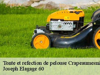 Tonte et refection de pelouse  crapeaumesnil-60310 Joseph Elagage 60